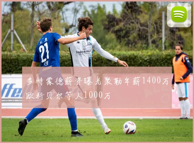 多特蒙德薪资曝光聚勒年薪1400万欧科贝尔等人1000万