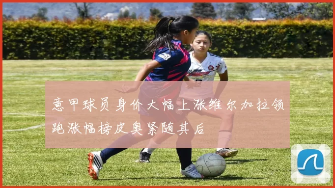 意甲球员身价大幅上涨维尔加拉领跑涨幅榜皮奥紧随其后
